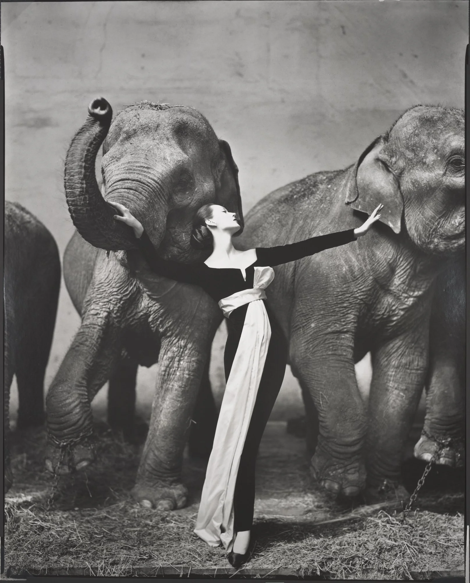 Book Review: Relationships by Richard Avedon — Musée Magazine